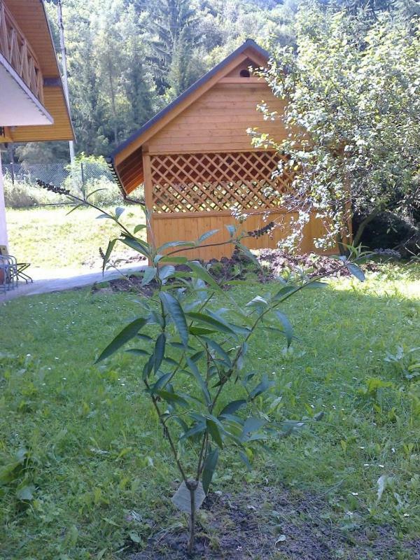 Apartament Apartament EPI Szczawnica Zewnętrze zdjęcie